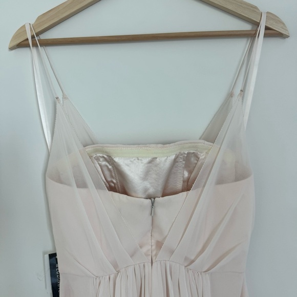 Adrianna Papell Champagne Yvory Blush Crepe Dress - Picture 9 of 12